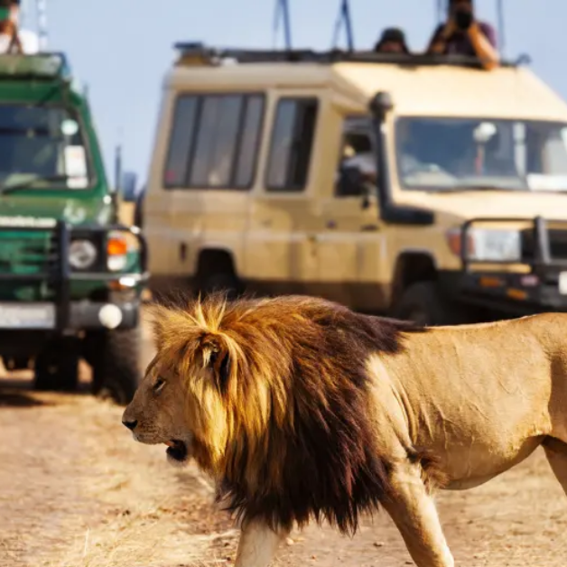 Hunting in South Africa: Winter Hunting and Holiday Ideas