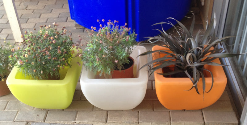 Small Square Flower Pot